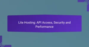 Lite Hosting : Accès API, Sécurité et Performance