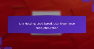 Lite Hosting: Load Speed, User Experience and Optimization