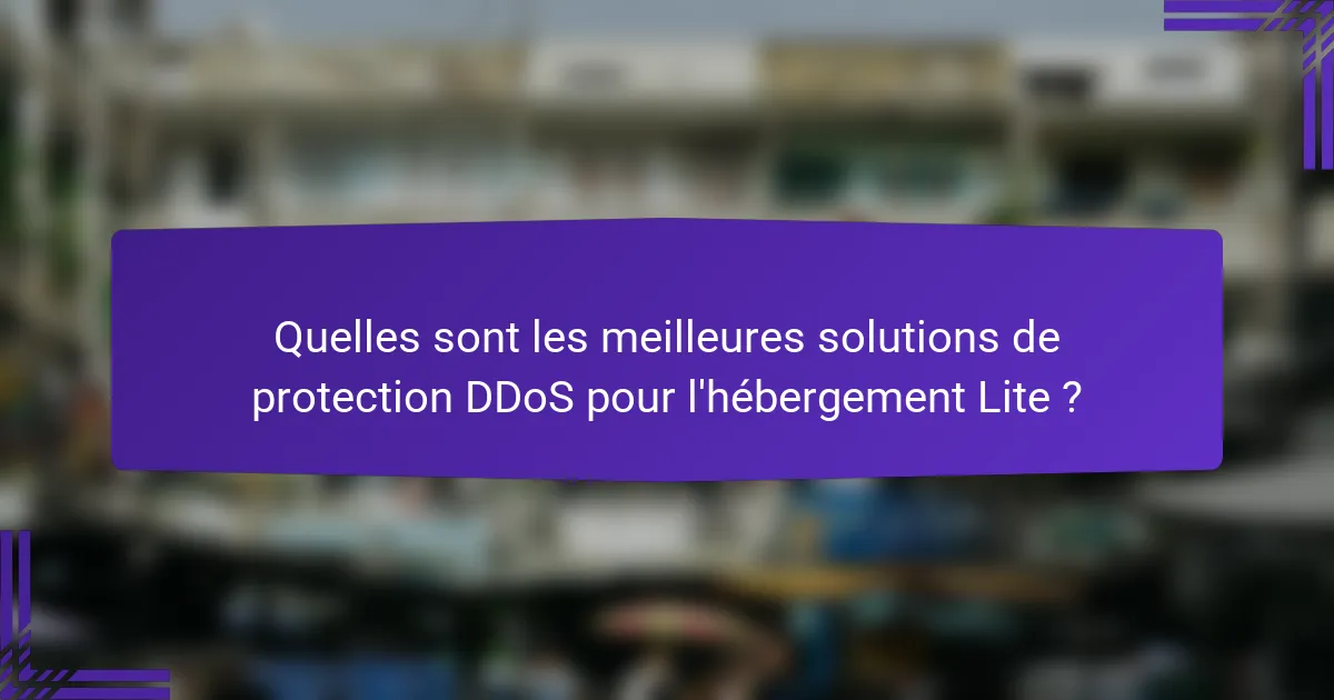 Quelles sont les meilleures solutions de protection DDoS pour l'hébergement Lite ?