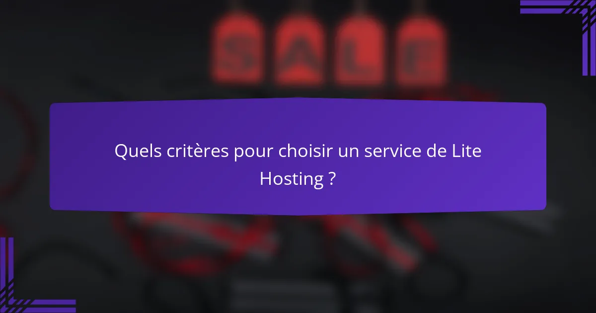 Quels critères pour choisir un service de Lite Hosting ?