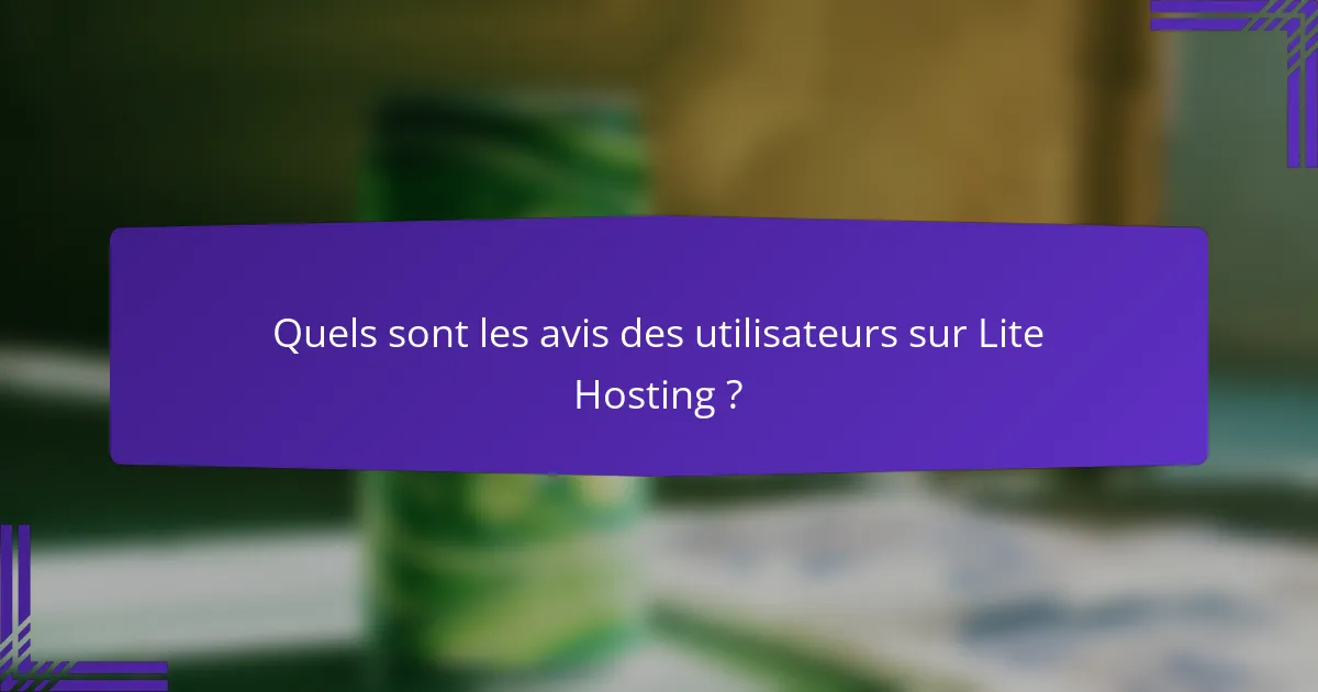 Quels sont les avis des utilisateurs sur Lite Hosting ?
