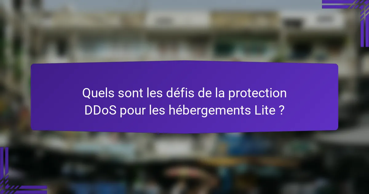 Quels sont les défis de la protection DDoS pour les hébergements Lite ?